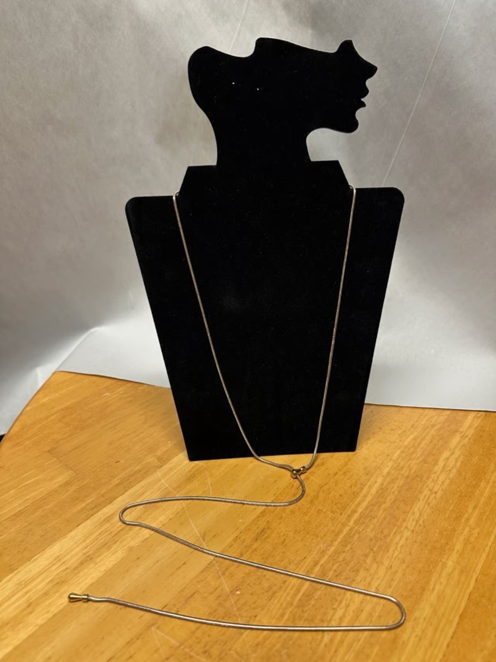 Necklace Minimalistic | Long, Delicate Snake Chain